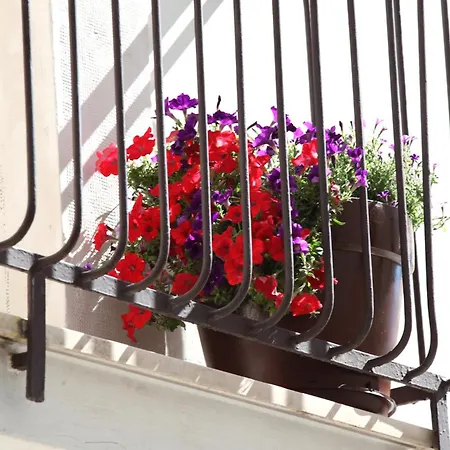 Apartment Casetta Pasqualina- A Few Minutes From Monopoli & Polignano Castellana Grotte